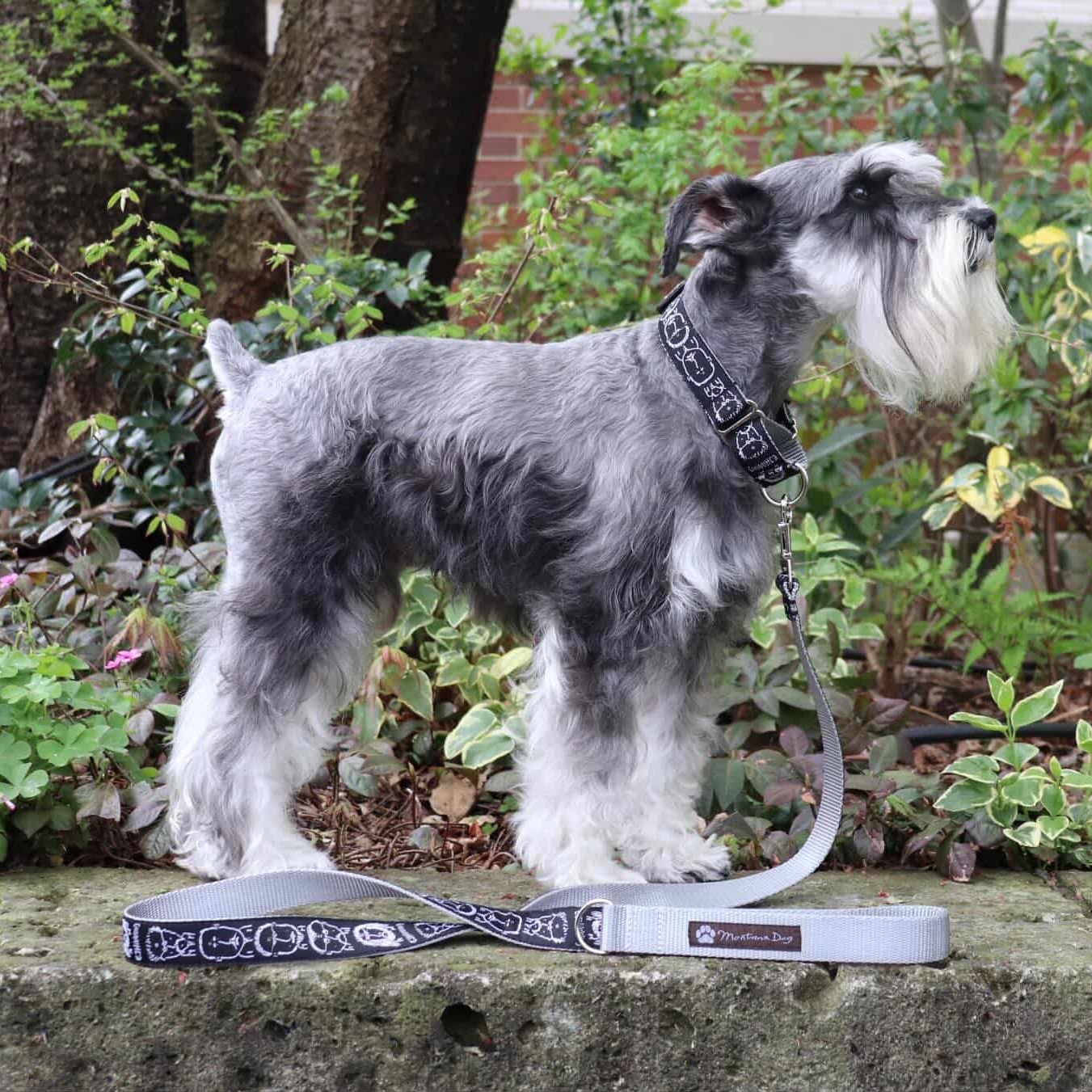 �f���[�h by EJ Hibbing