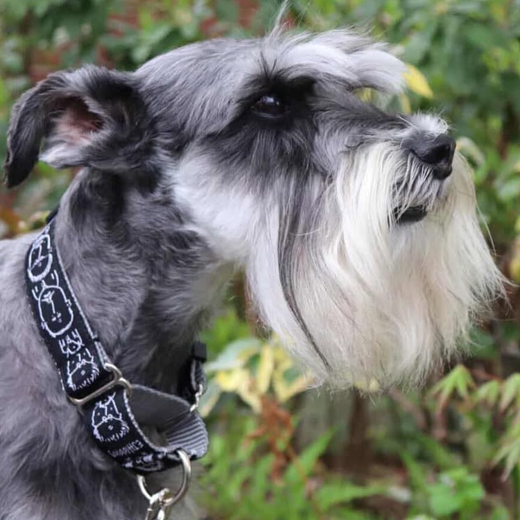 �f���[�h by EJ Hibbing