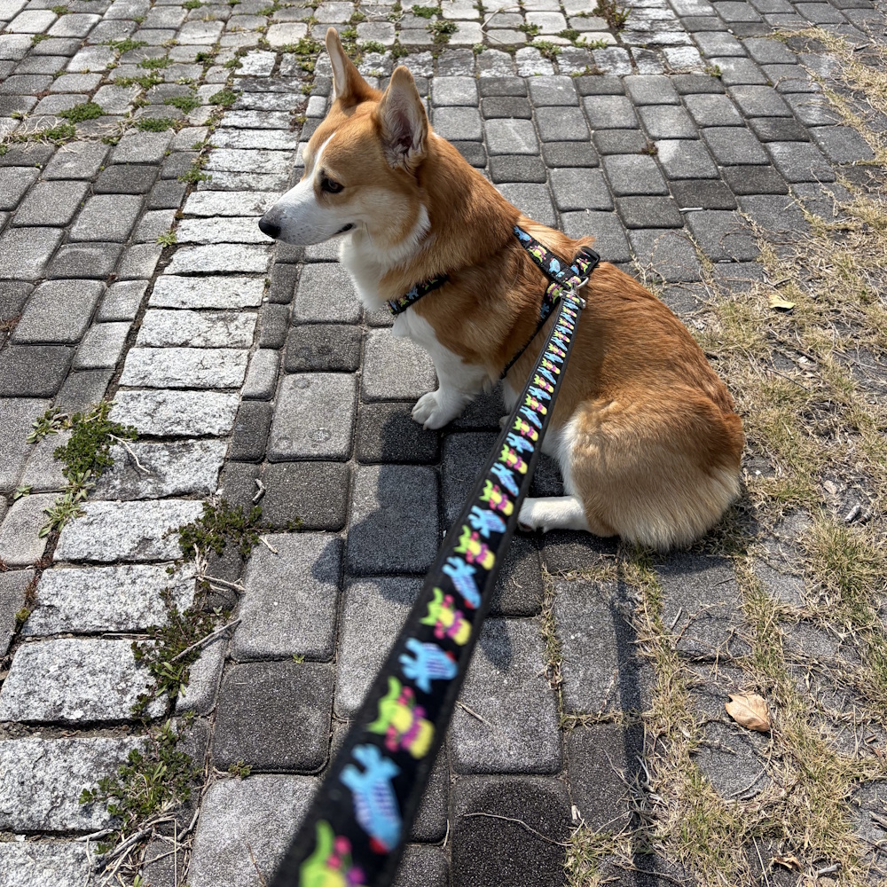 �u���[�o�[�h