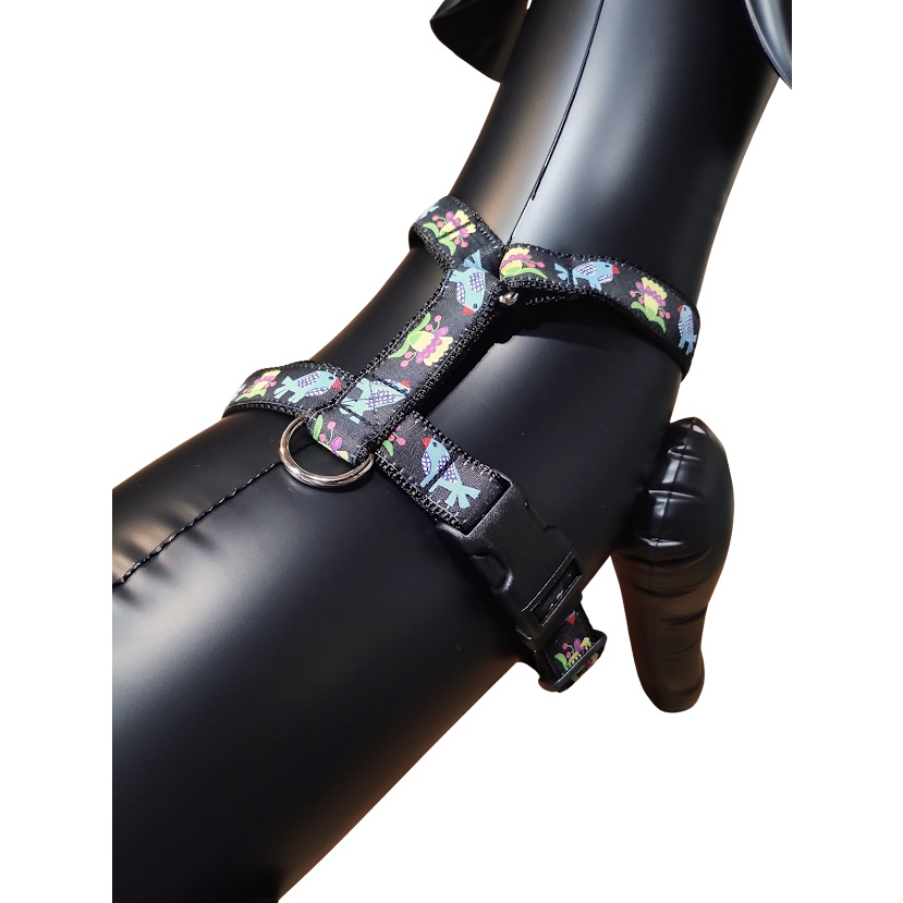 �u���[�o�[�h