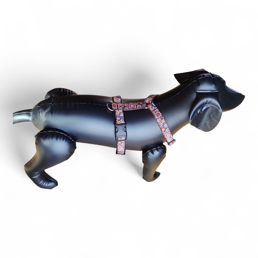 �R�Y�~�b�N�t�����[�u���E��