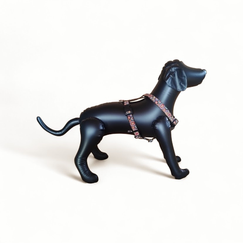 �R�Y�~�b�N�t�����[�u���E��