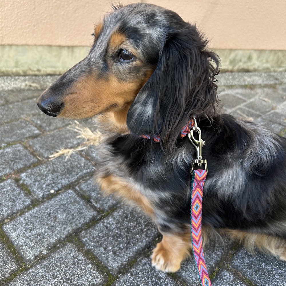 �T���E�A�Y�e�b�N