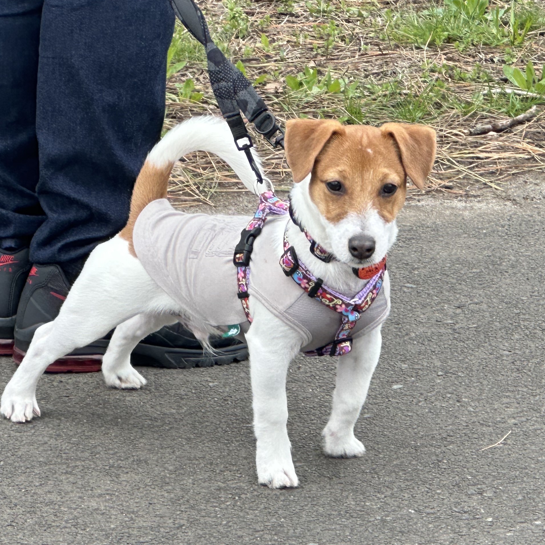 ���u�o�[�Y