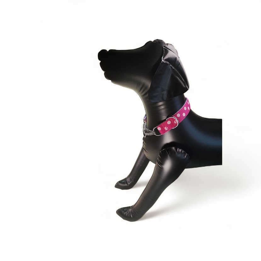 �L�����f�B�[�E�h�b�g