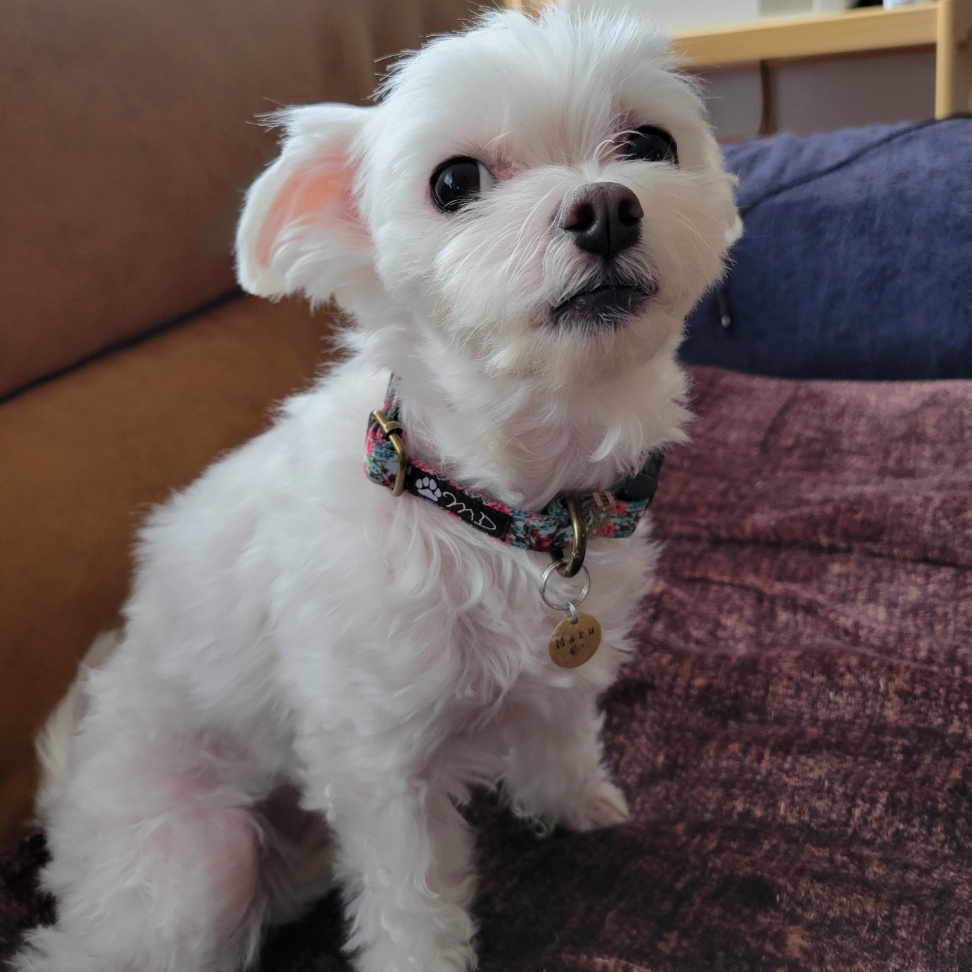 ���q�D�FMD457