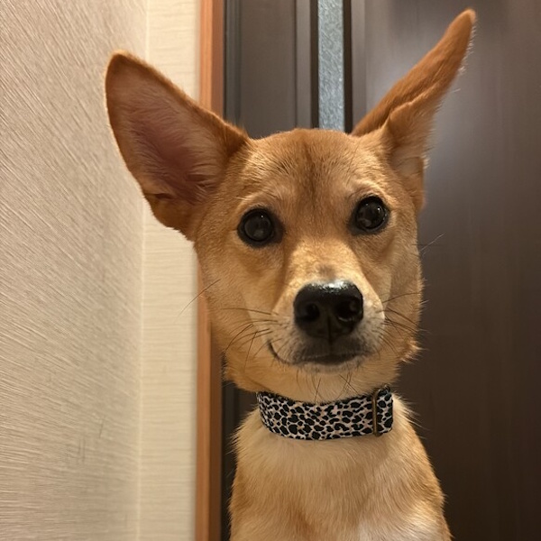 `[^[